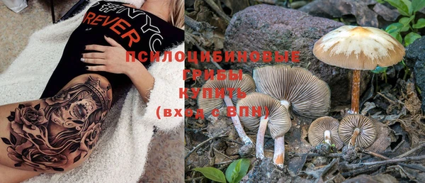 прущие крисы Новокубанск