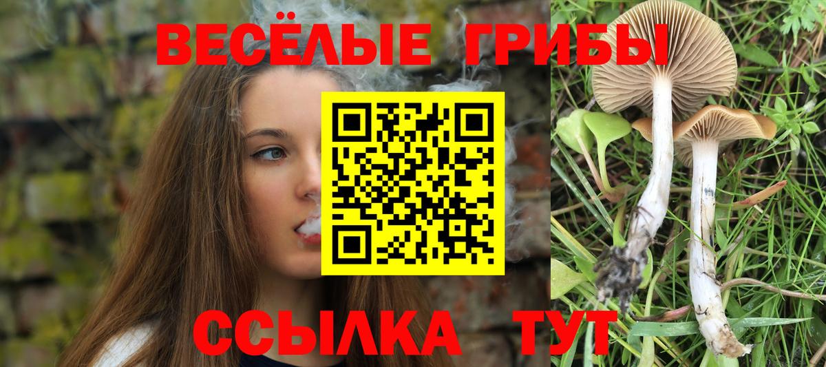 Псилоцибиновые грибы прущие грибы Грязи