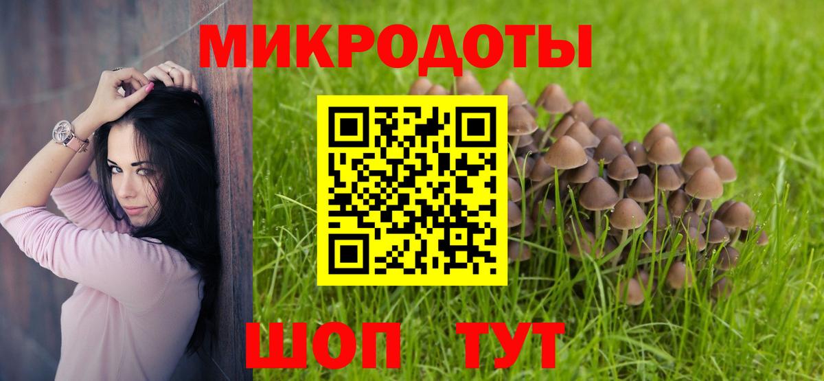 Галлюциногенные грибы Psilocybine cubensis Грязи