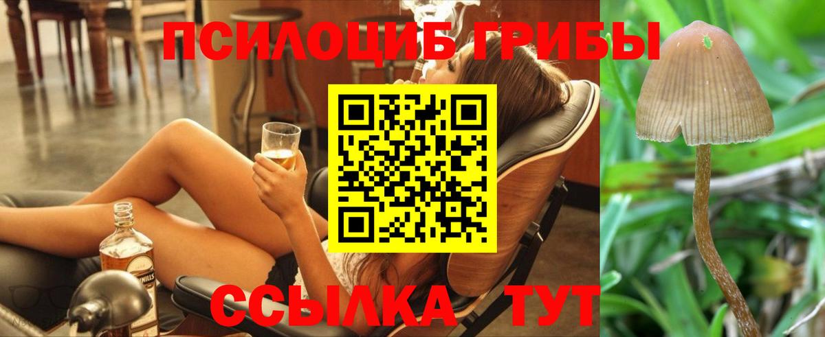 Псилоцибиновые грибы GOLDEN TEACHER  Галлюциногенные грибы ЛСД  Грязи 