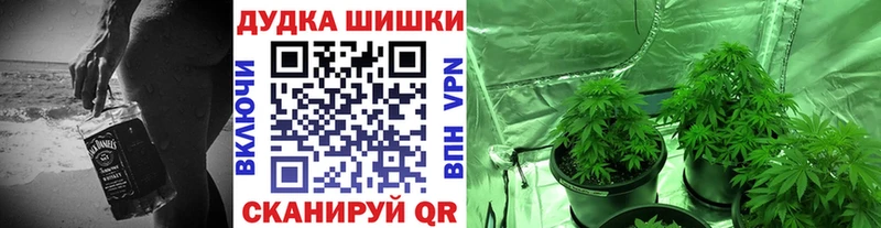 Конопля марихуана  как найти   Грязи 
